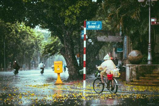 Cơn mưa bất chợt mùa thu tại Hà Nội
